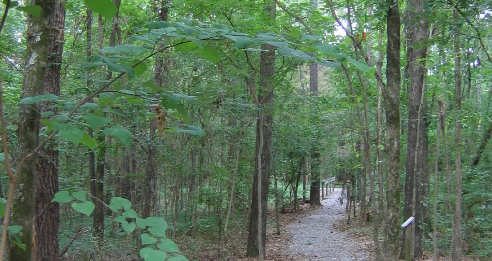 Simmons Arboretum, United States